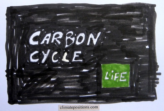 Carbon cycle for beginners