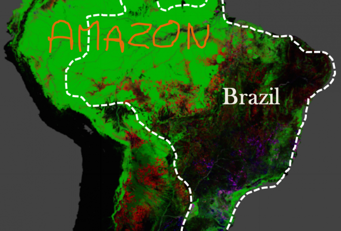Brazil’s rainforests and climate change performance