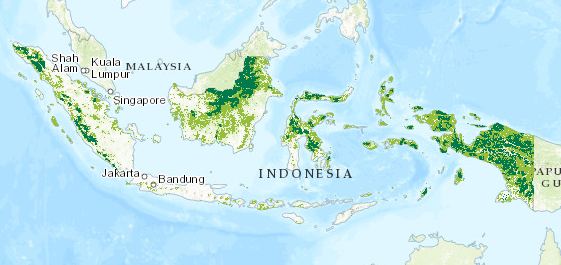 Indonesia, primary forests, two categories