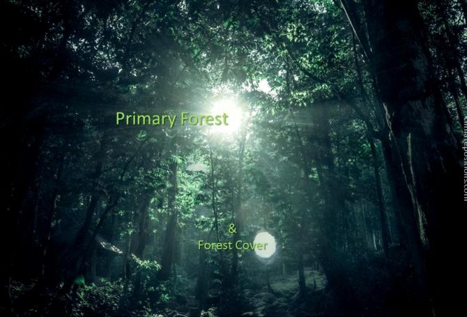 Forest Cover and Primary Forests 1990-2015 (two country groups are examined)