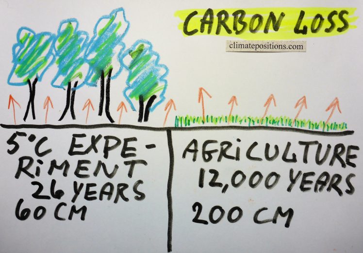 Two studies: 26-year soil warming experiment in a mid-latitude hardwood forest (possible self-reinforcing carbon emissions feedback loop) and 12,000 years of soil carbon losses from agriculture